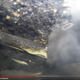 Illustration for article titled Heres What It Looks Like Inside A Tire When You Do A Burnout To Destruction